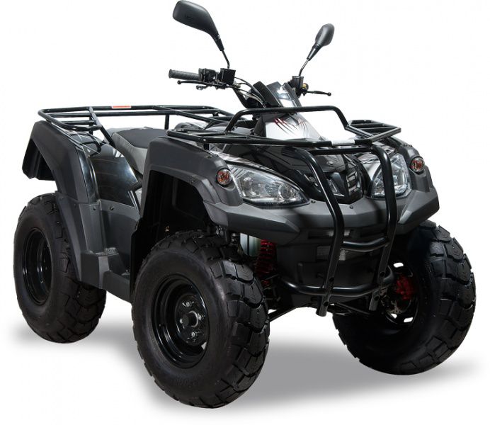 adly moto buggy